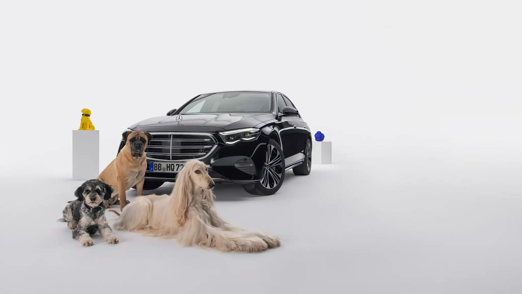 Mercedes Benz - Bark Assistant